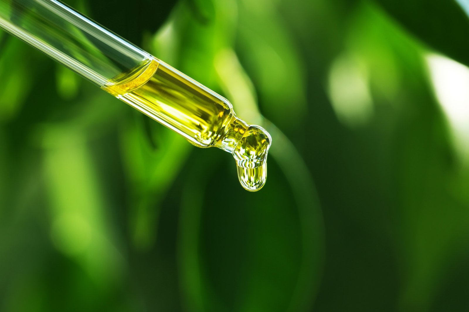 Drop of natural plant oil — traceable botanical extract SAHARÔME